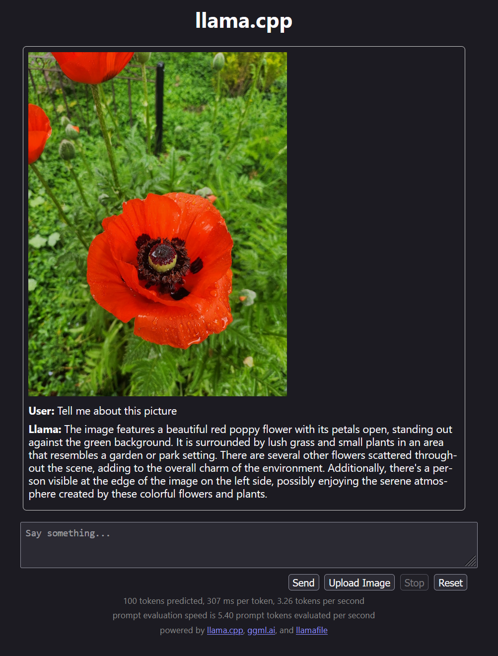 Screenshot of the AI’s response to a picture of a poppy.